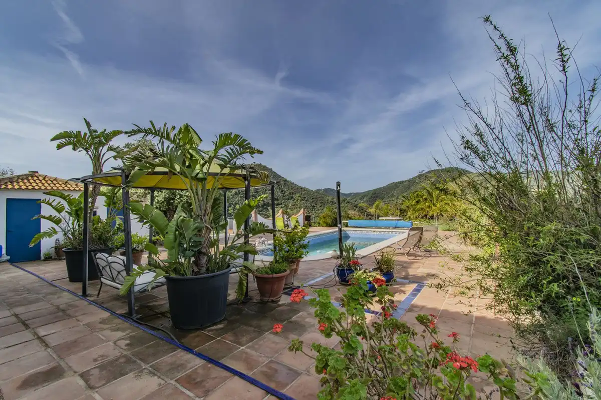 Chalet con piscina en venta en Calle Málaga, imagen 20