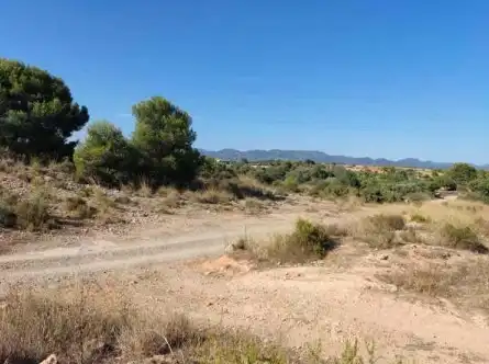 Terrain rustique à vendre à PT R-14, imagen 9