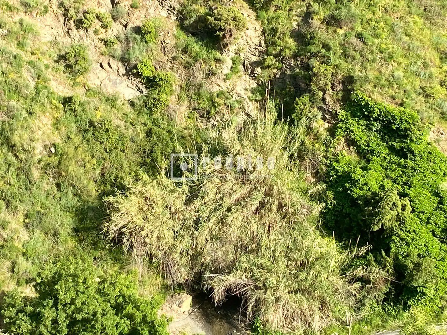 Terreni e lotti in vendita a Polígono 9 377, imagen 7