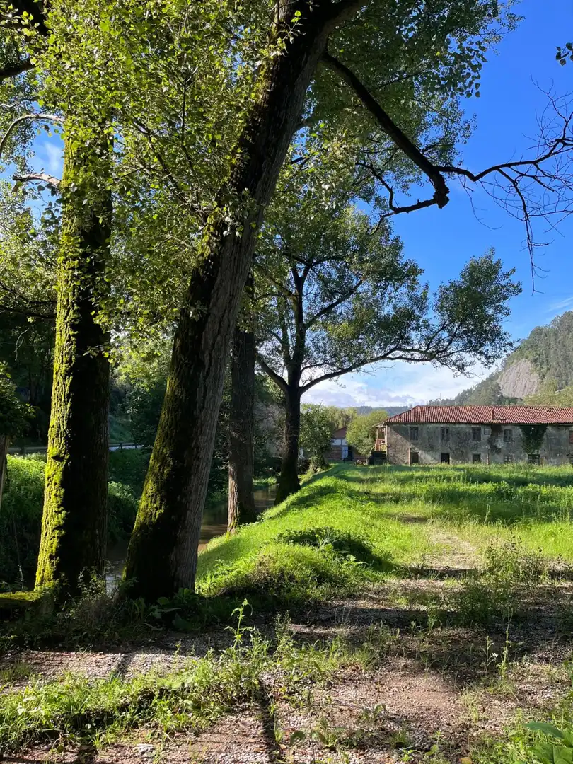 Vista exterior de Casa o xalet en venda en San Felices de Buelna