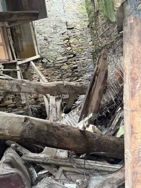 Vista exterior de Finca rústica en venta en Castropol