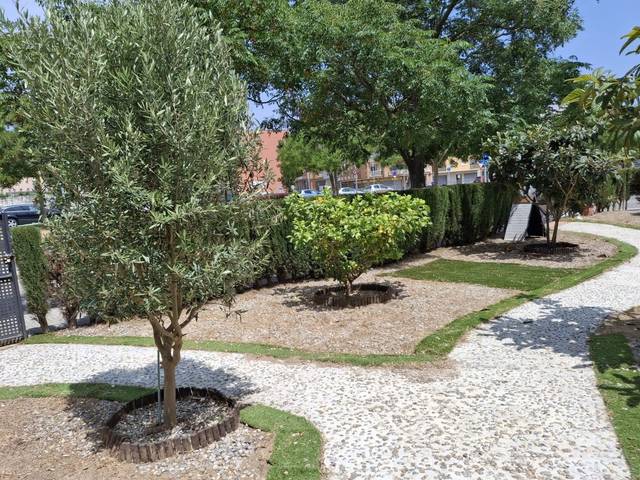 Local comercial en Alquiler en Calle Maria Aurelia Campmany en El Molí - El Rieral