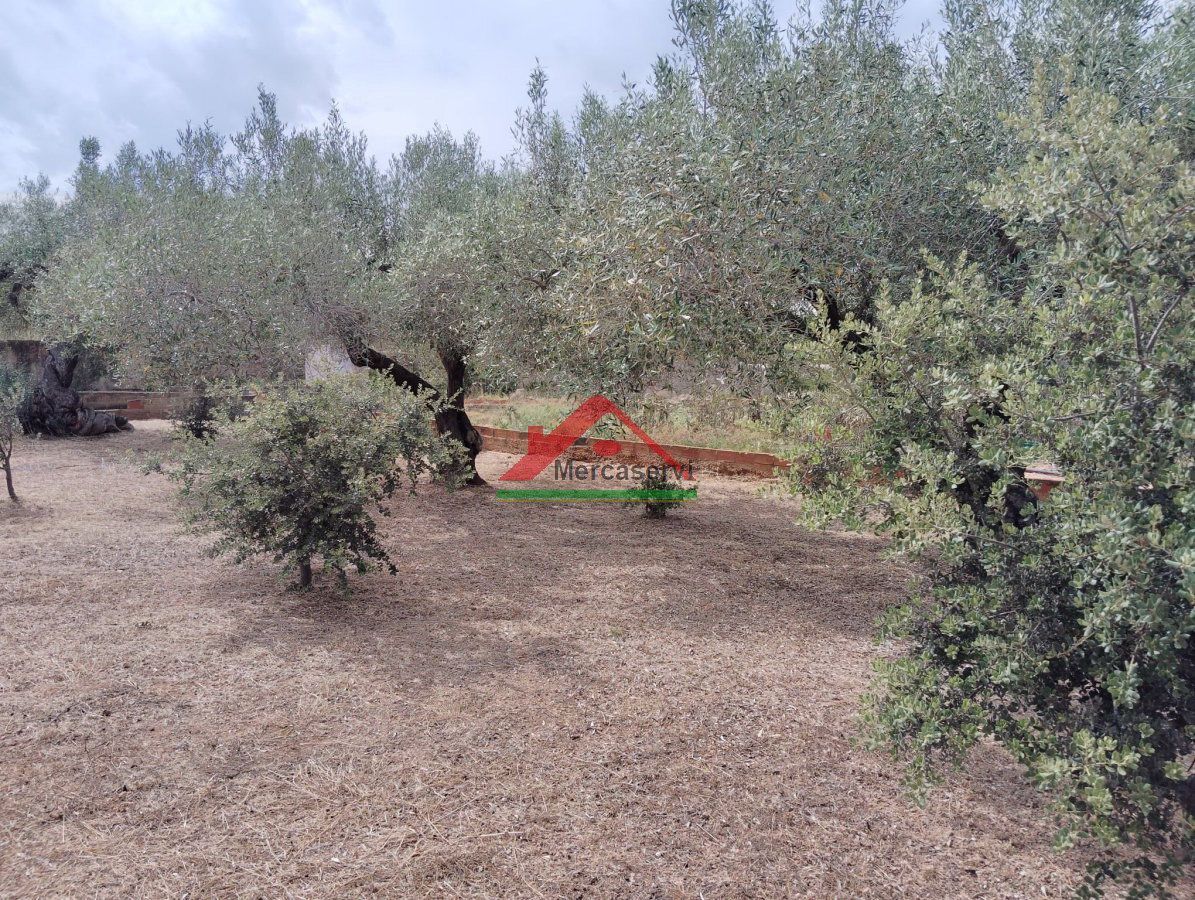 Finca rústica en venda en Vinaròs amb Terrassa
