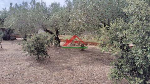 Foto 5 de Finca rústica en venda a N/a, 59, Partidas de interior - Zona Rústica, Castellón