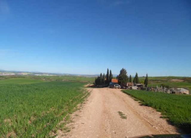 Terreno en Venta en c/ sector urbanizable 3 en Tórtola de Henares