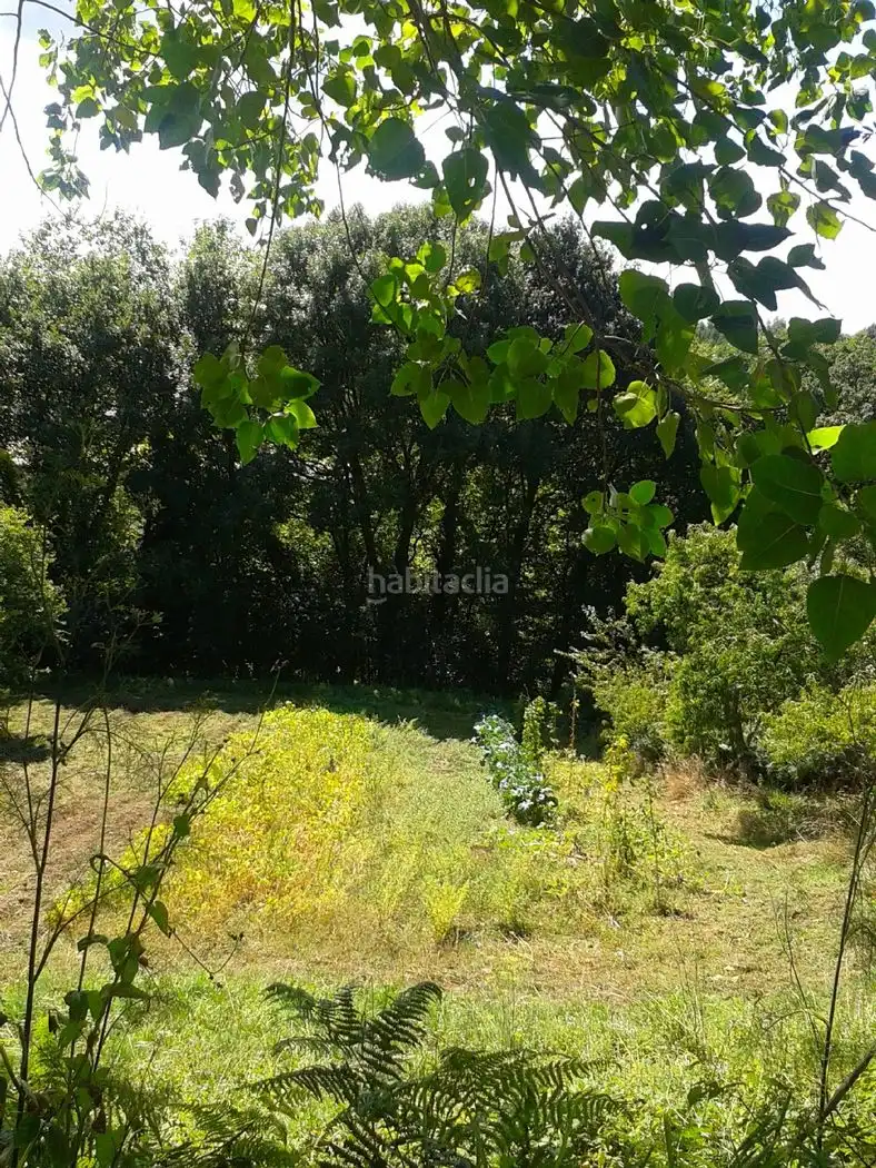 Maison à vendre à Foro 7, imagen 11