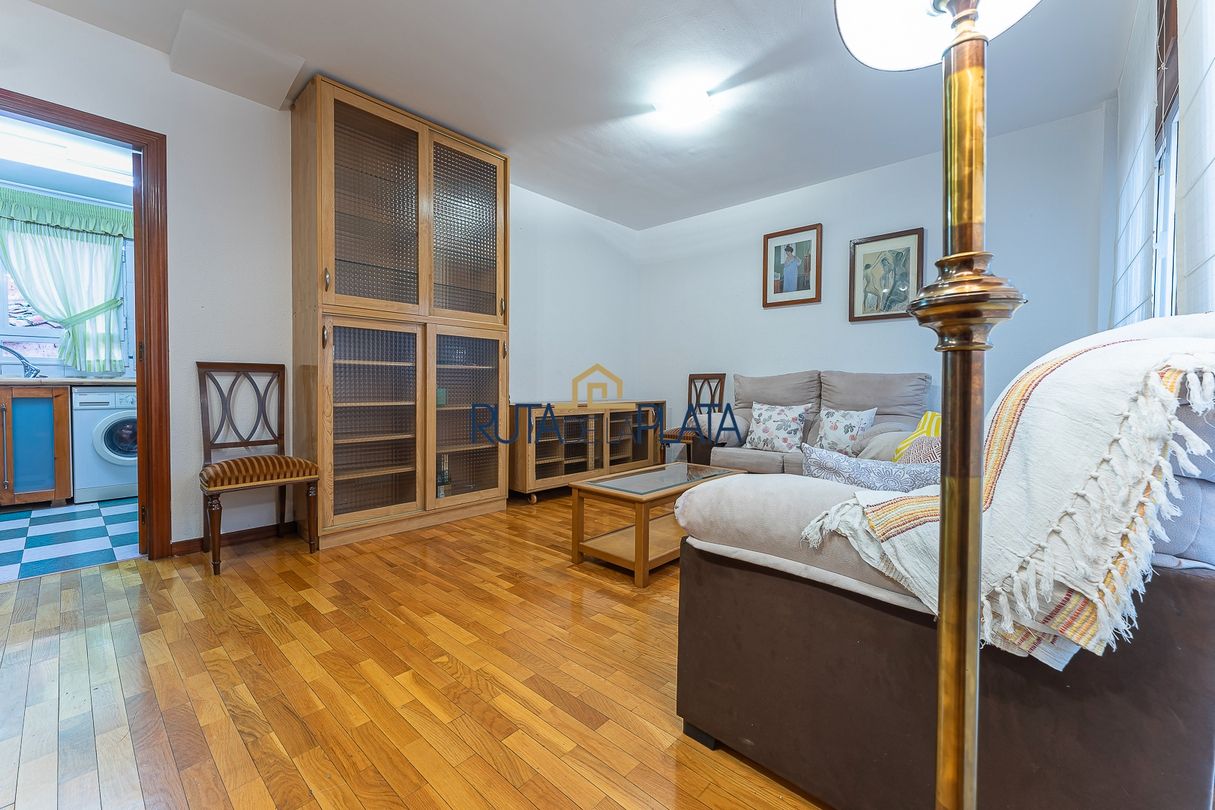 Living room of Duplex to rent in Zamora Capital   with Heating, Parquet flooring and Furnished