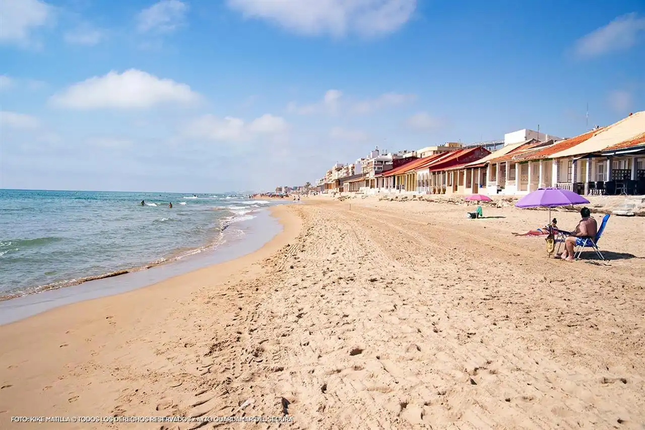 Chalet con piscina en venta en Algorfa, imagen 6