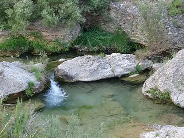 Xalet amb piscina en venda a Camino del Parrizal 7, imagen 51