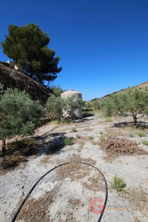 Finca rústica en venta en Los Tablones - La Garnatilla