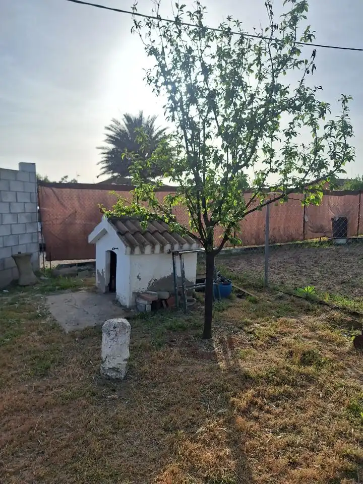 Terreni e lotti in vendita a Pedanías Norte, imagen 12
