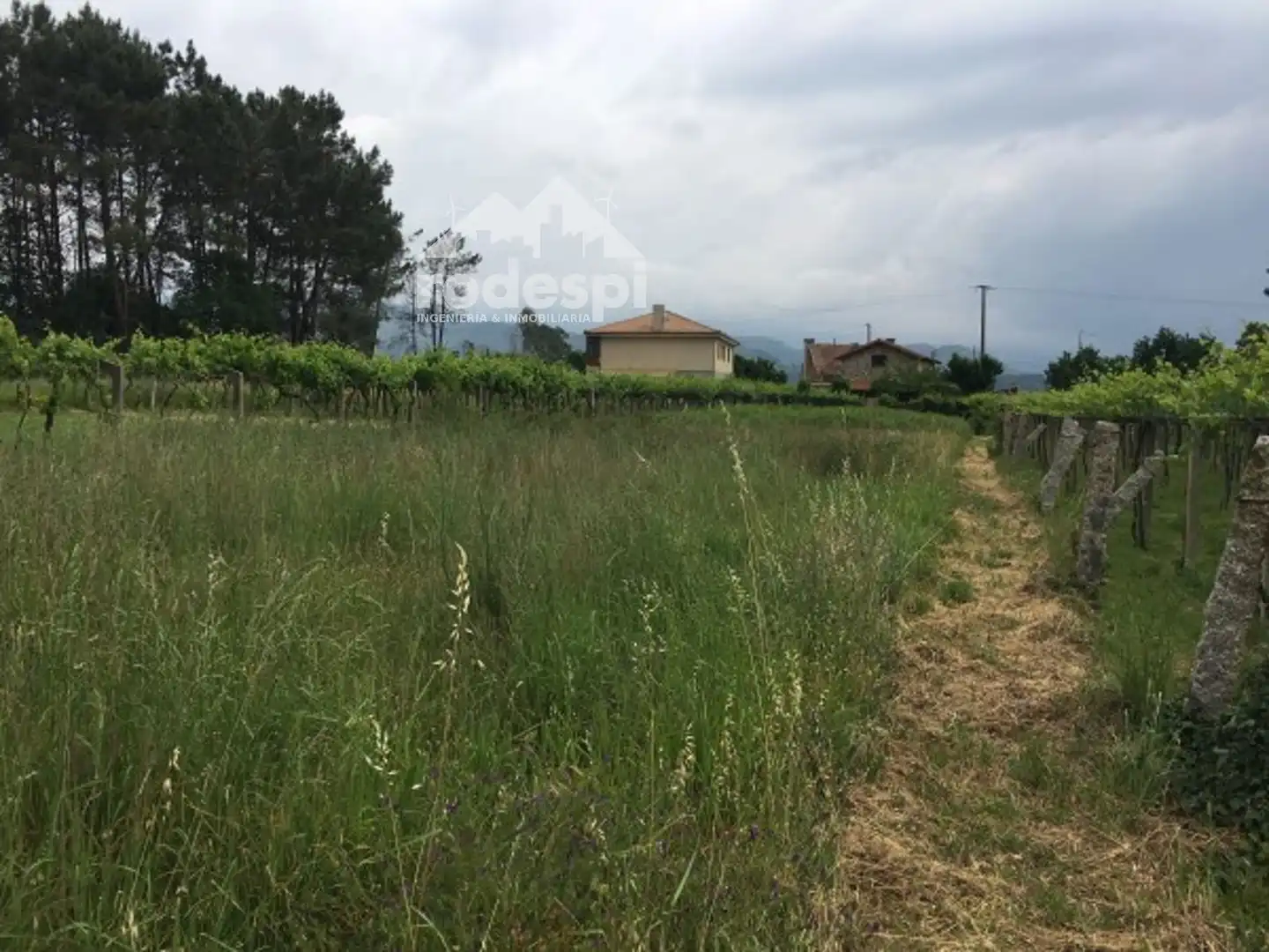 Terrain rustique à vendre à As Neves, imagen 2