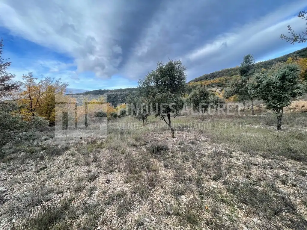 Casa o chalet en venta en Gavet de la Conca