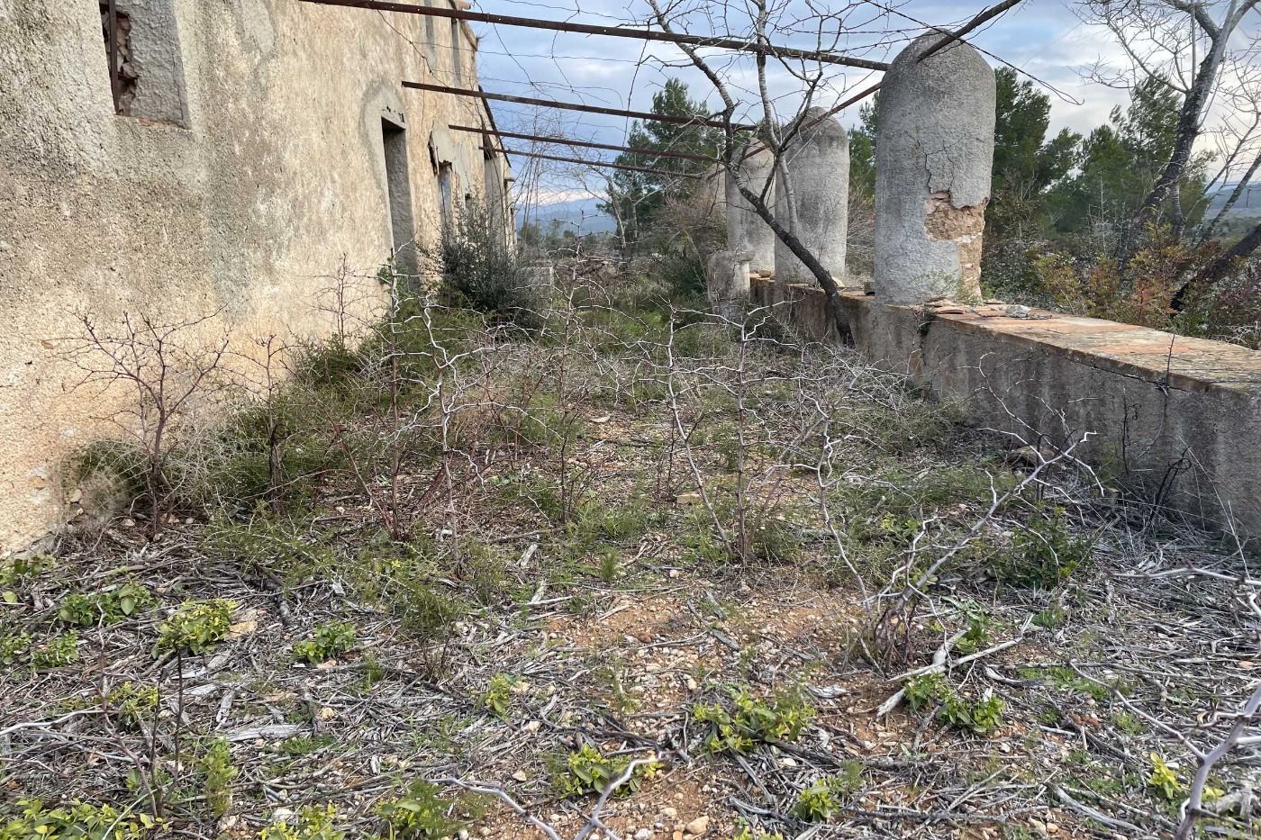 Finca rústica en venda en El Perelló