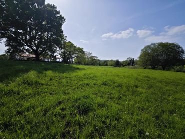 Terreno residencial en venta en Luzmela-Mazcuerras 501