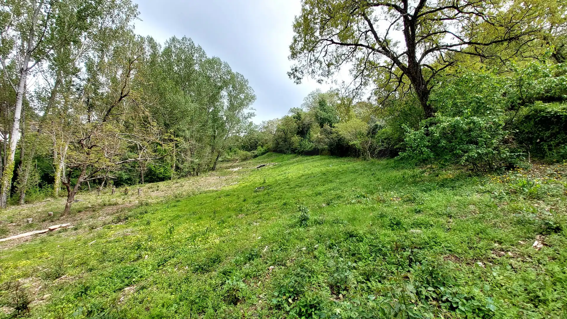 Terrain rustique à vendre à Galaroza, imagen 10