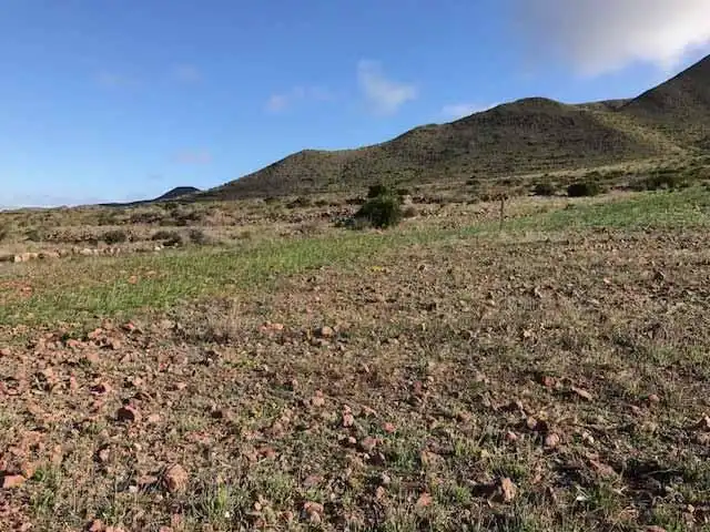 Terrain rustique à vendre à Níjar pueblo, imagen 4