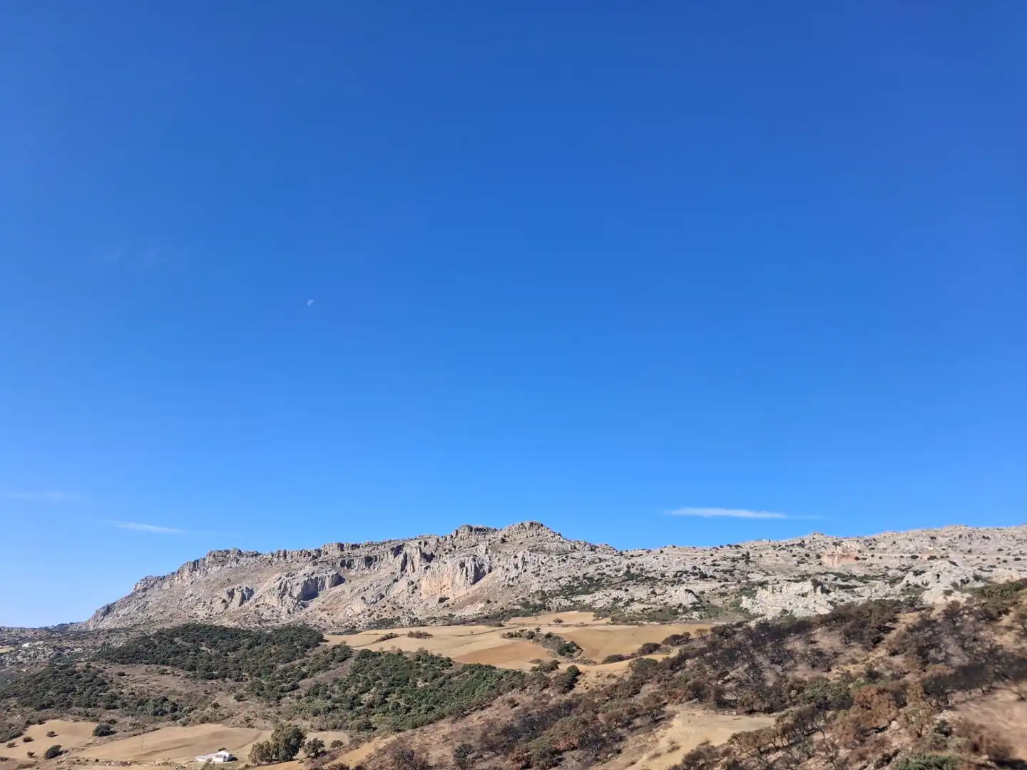 Terreni e lotti in vendita a Villanueva de la Concepción, imagen 7