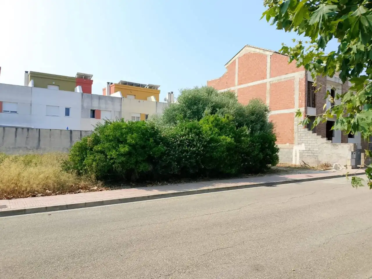 Land for sale in Calle Botánico Cabanilles, Piles