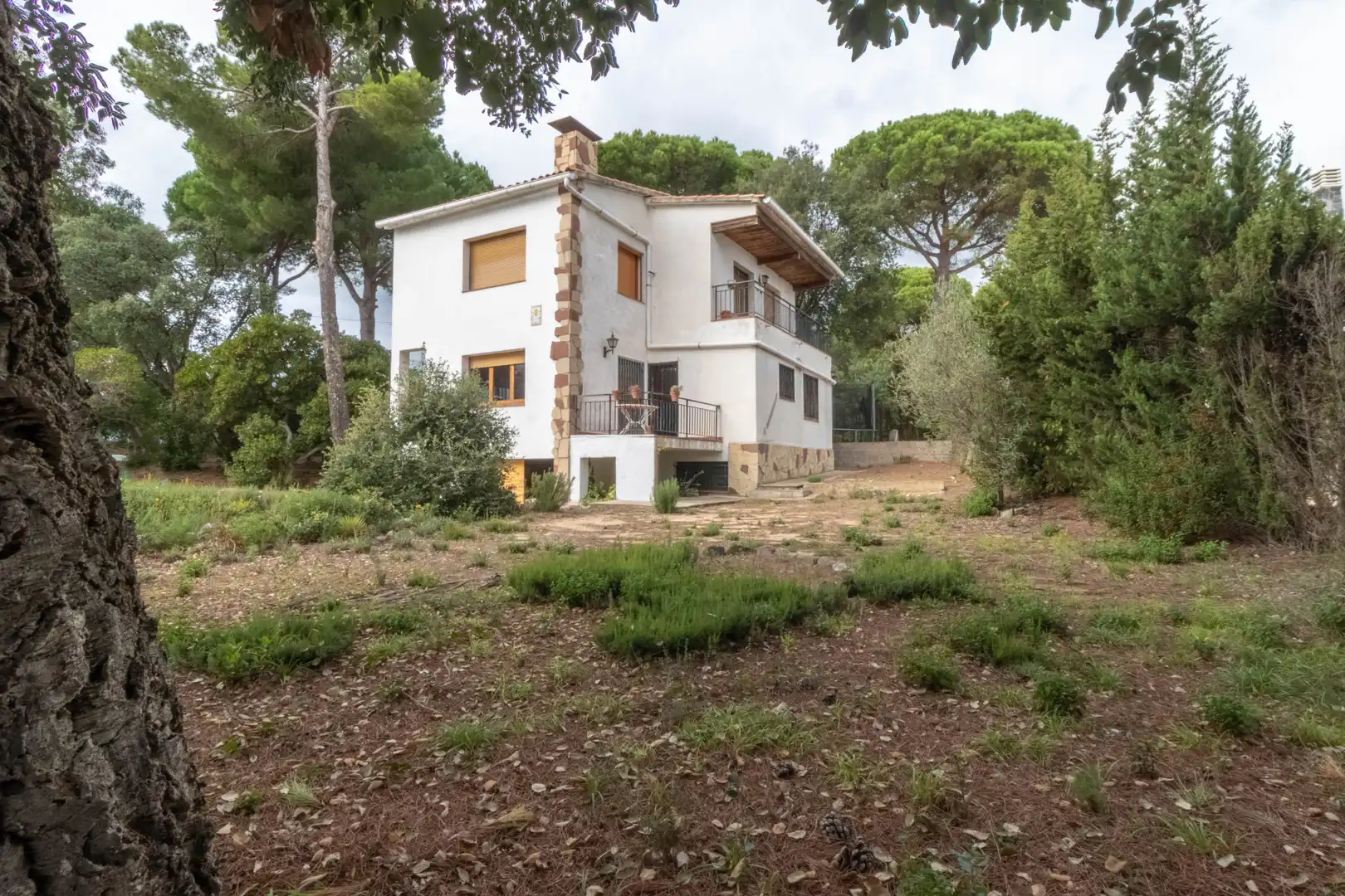 Casa o chalet en venta en Sant Cebrià de Vallalta