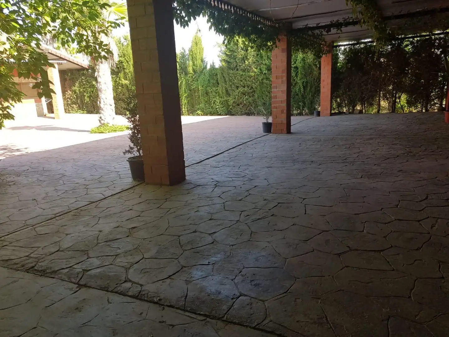 Terraza de Finca rústica en venta en Santa Cruz de Mudela