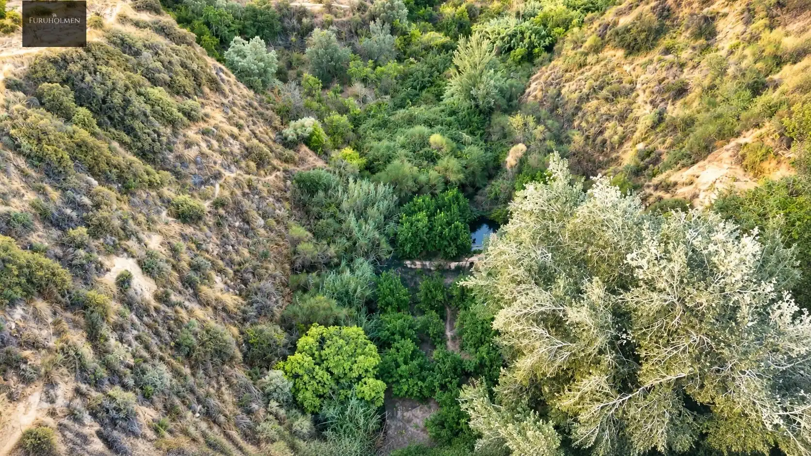 Terrain rustique à vendre à Lecrín, imagen 8