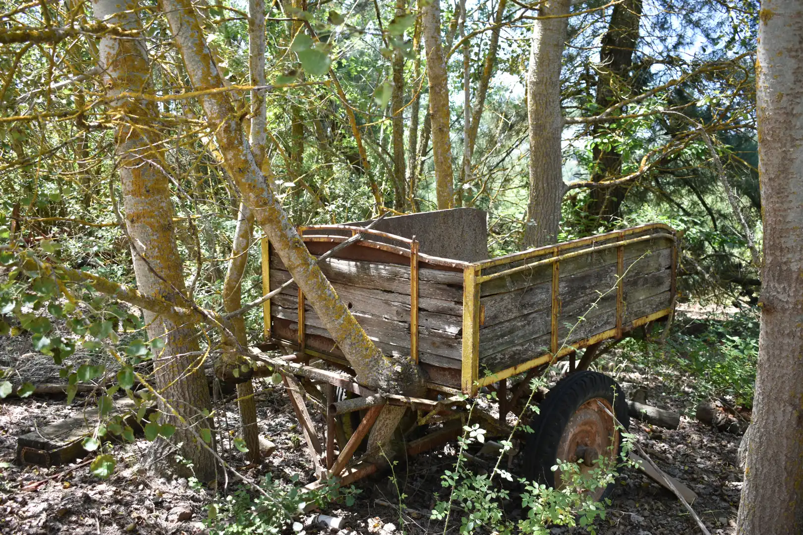 Jardí de Casa o xalet en venda en Prades amb Calefacció, Jardí privat i Terrassa