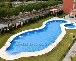 Swimming pool of Apartment for sale in Vera  with Terrace