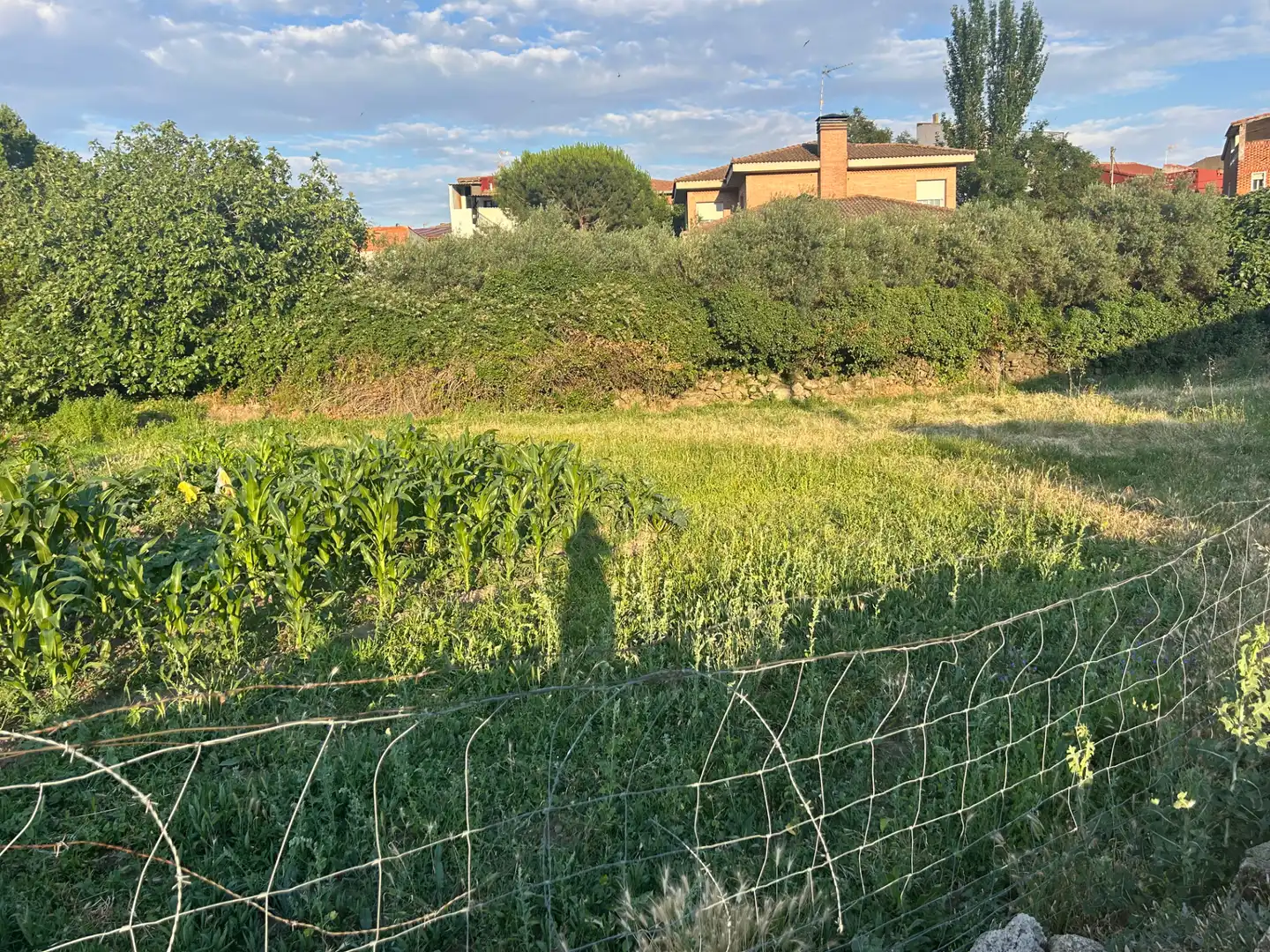 Wohnbaugrundstück zum Verkauf in Cenicientos, imagen 11