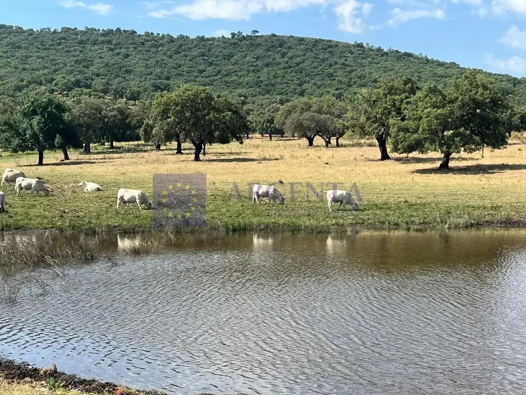 Casa en venda a Poligono 46 Paraje 617 La Covacha, imagen 5