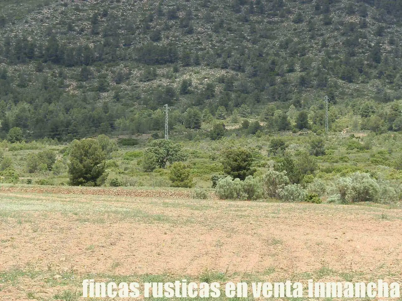 Terreni e lotti in vendita a Elche de la Sierra, imagen 21