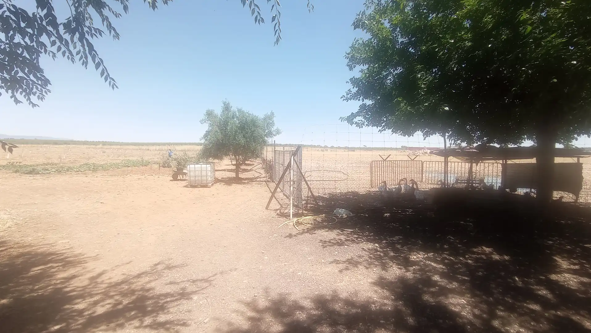 Terreno rústico en venta en Carrión de Calatrava, imagen 15
