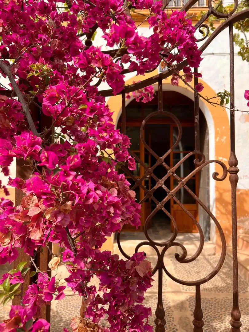 Casa o xalet de lloguer en Nord