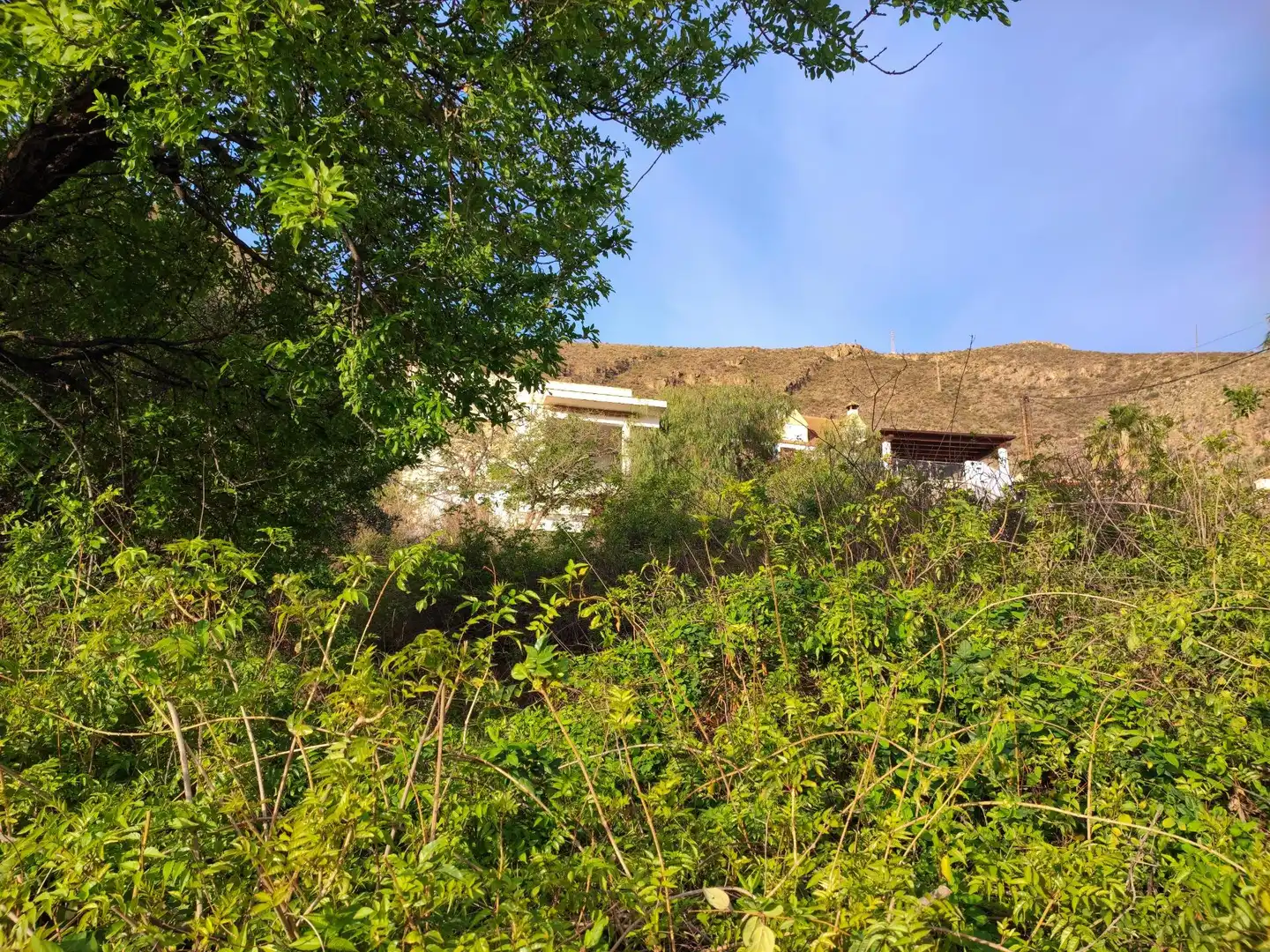 Casa o xalet en venda a Castell de Ferro