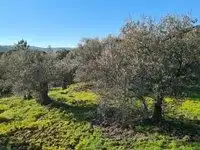 Terreni e lotti in vendita a Arenas de San Pedro, imagen 5