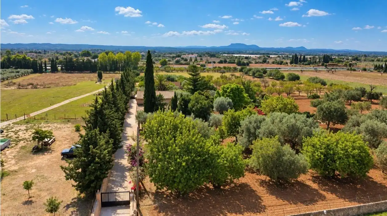 Country house with pool for sale in Centro, imagen 38