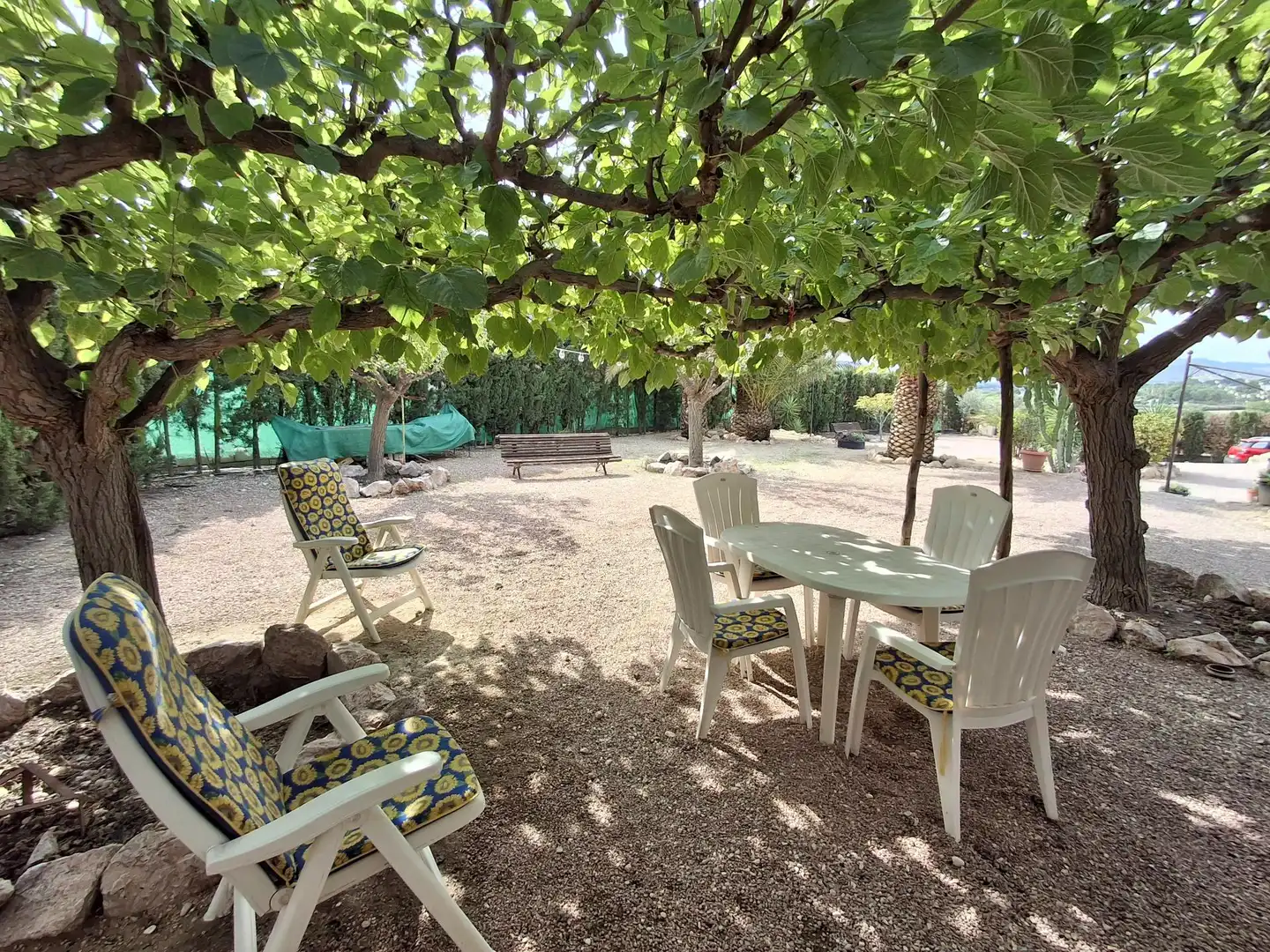 Jardín de Casa o chalet en venta en Novelda con Aire acondicionado, Calefacción y Jardín privado