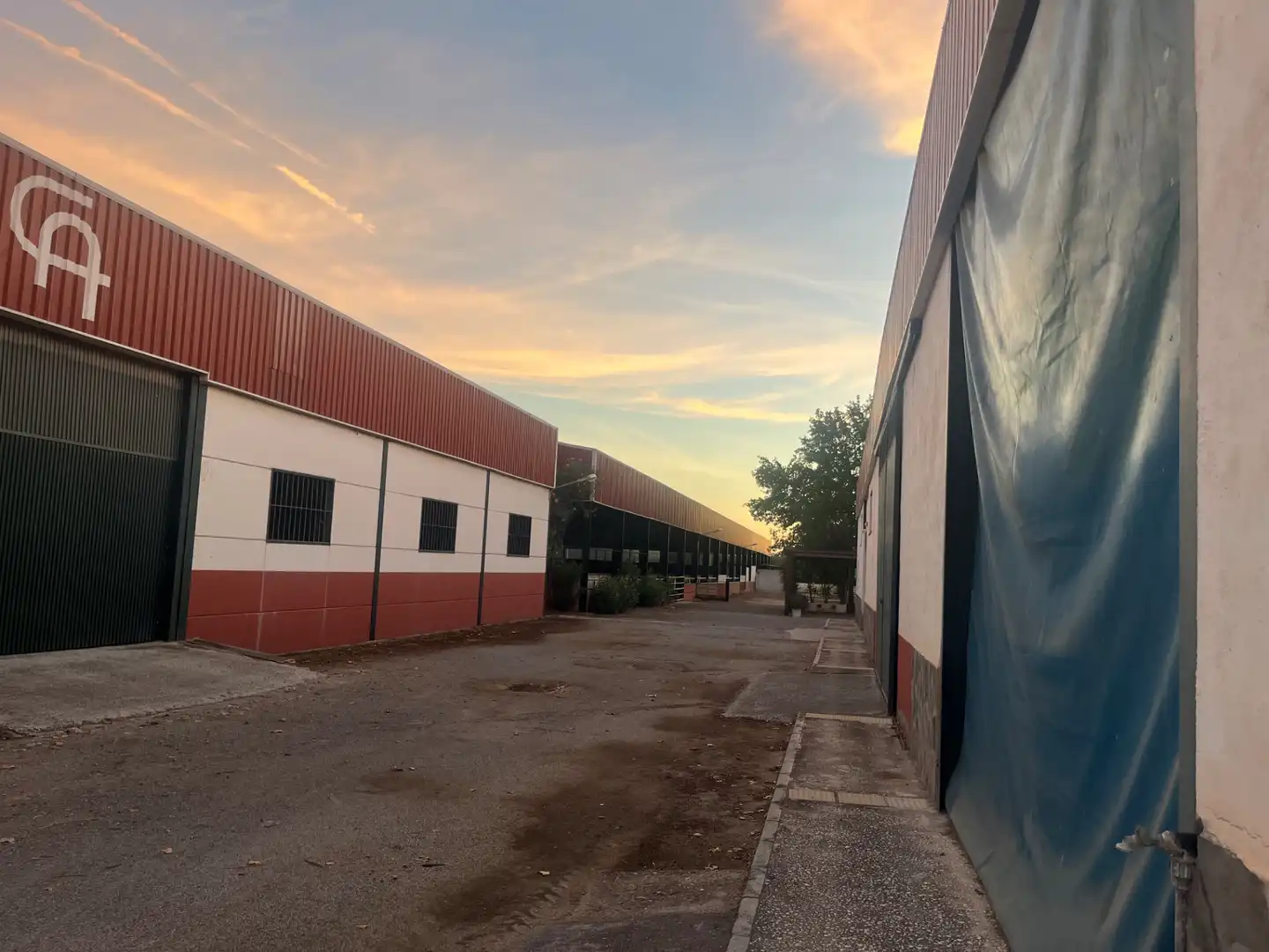 Industrial building for sale in Carretera de Córdoba, imagen 179