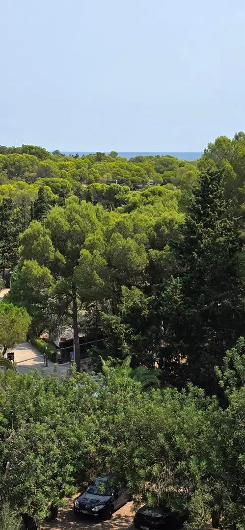 Pis amb terrassa en venda a L'Ametlla de Mar pueblo, imagen 13