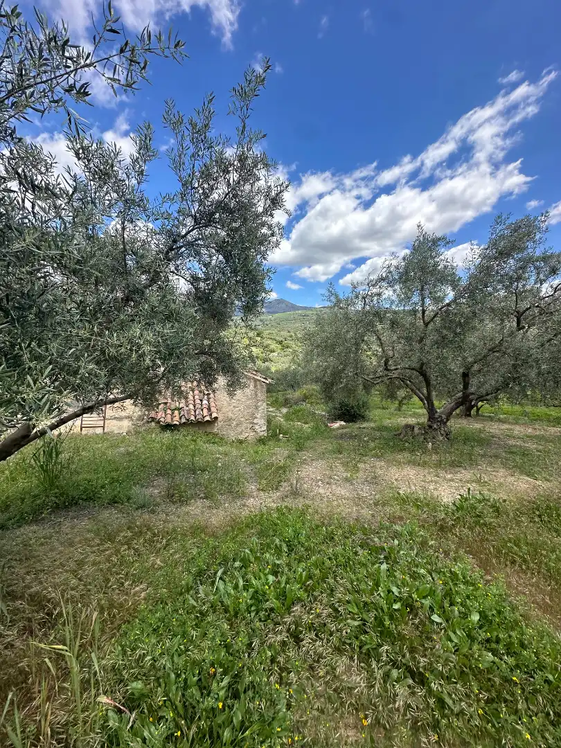 Terreni e lotti in vendita a Periana, imagen 38