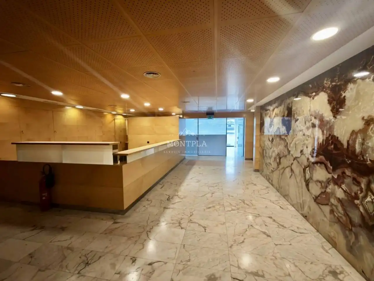 Locale commerciale in affitto a Les Escaldes, imagen 15
