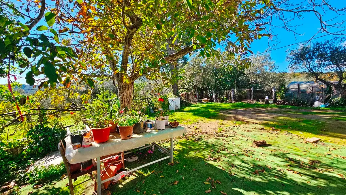 Casa rústica amb jardí en venda a Aracena, imagen 4