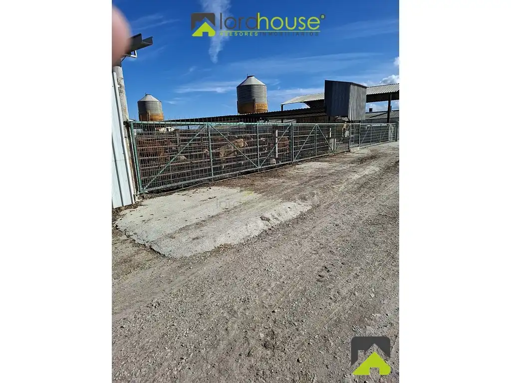 Haus zum Verkauf in N/A, imagen 63