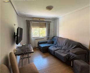 Living room of Flat for sale in  Madrid Capital  with Air Conditioner, Heating and Furnished