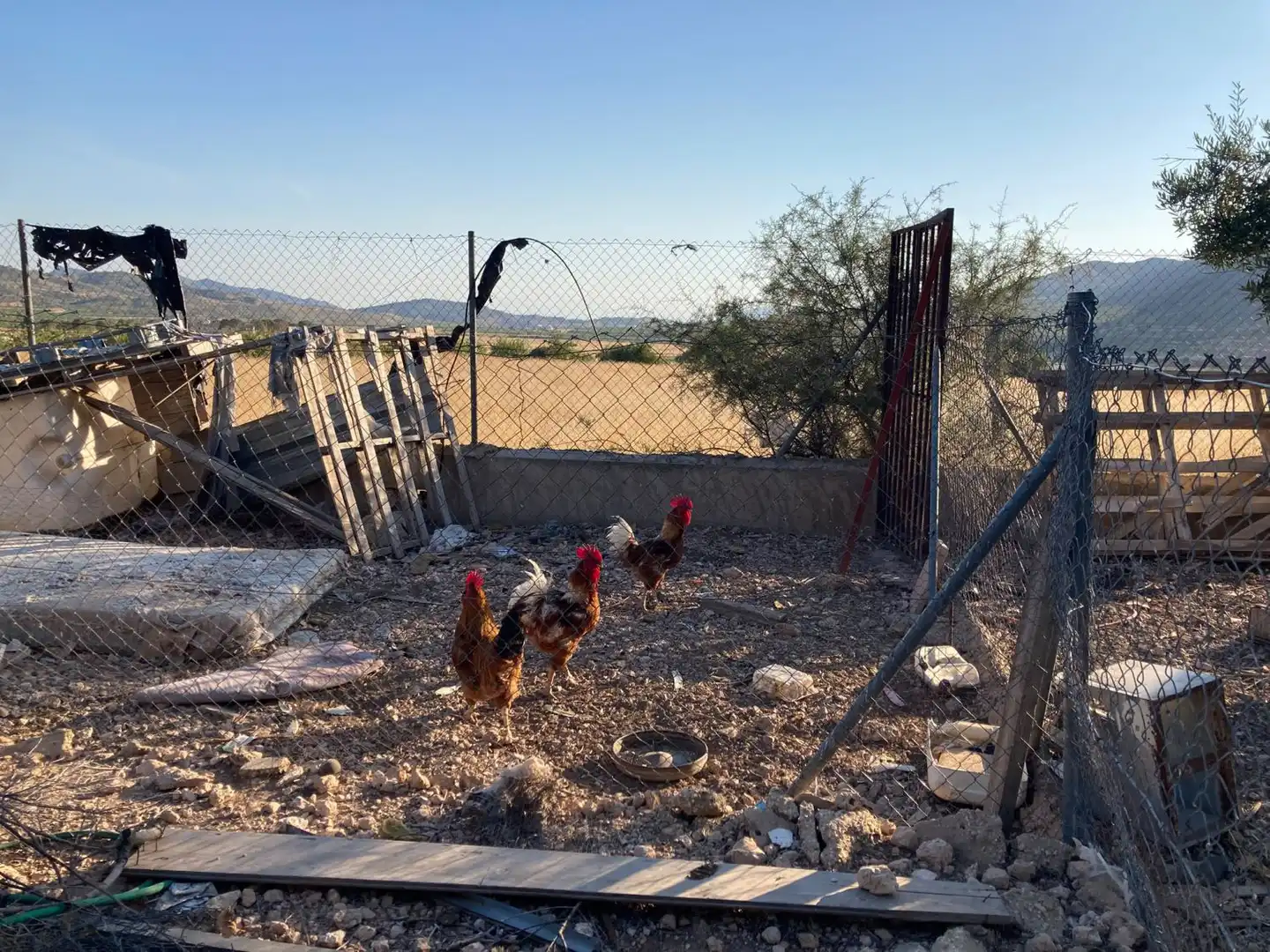 Casa rústica con piscina en venta en La Murada - Los Vicentes, imagen 30