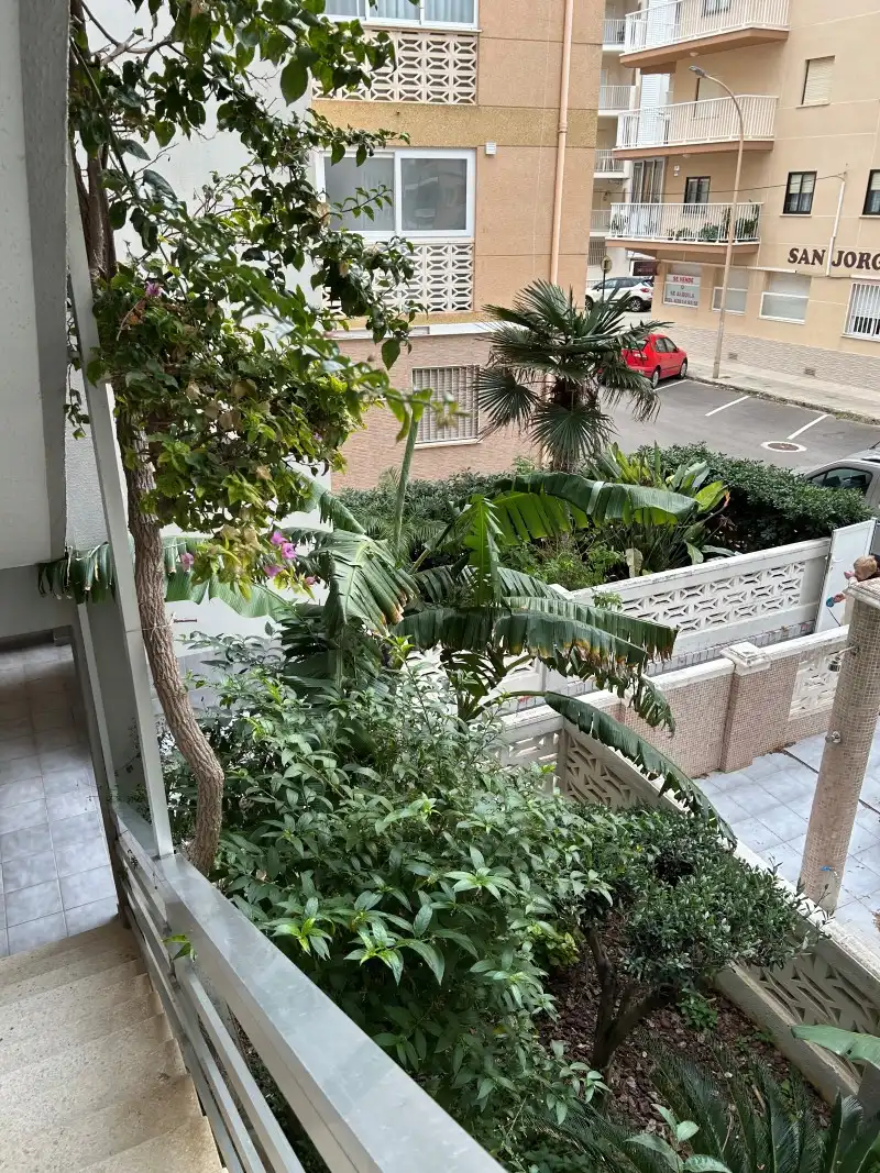 Garden of Apartments for sale in Miramar  with Private garden, Terrace and Furnished