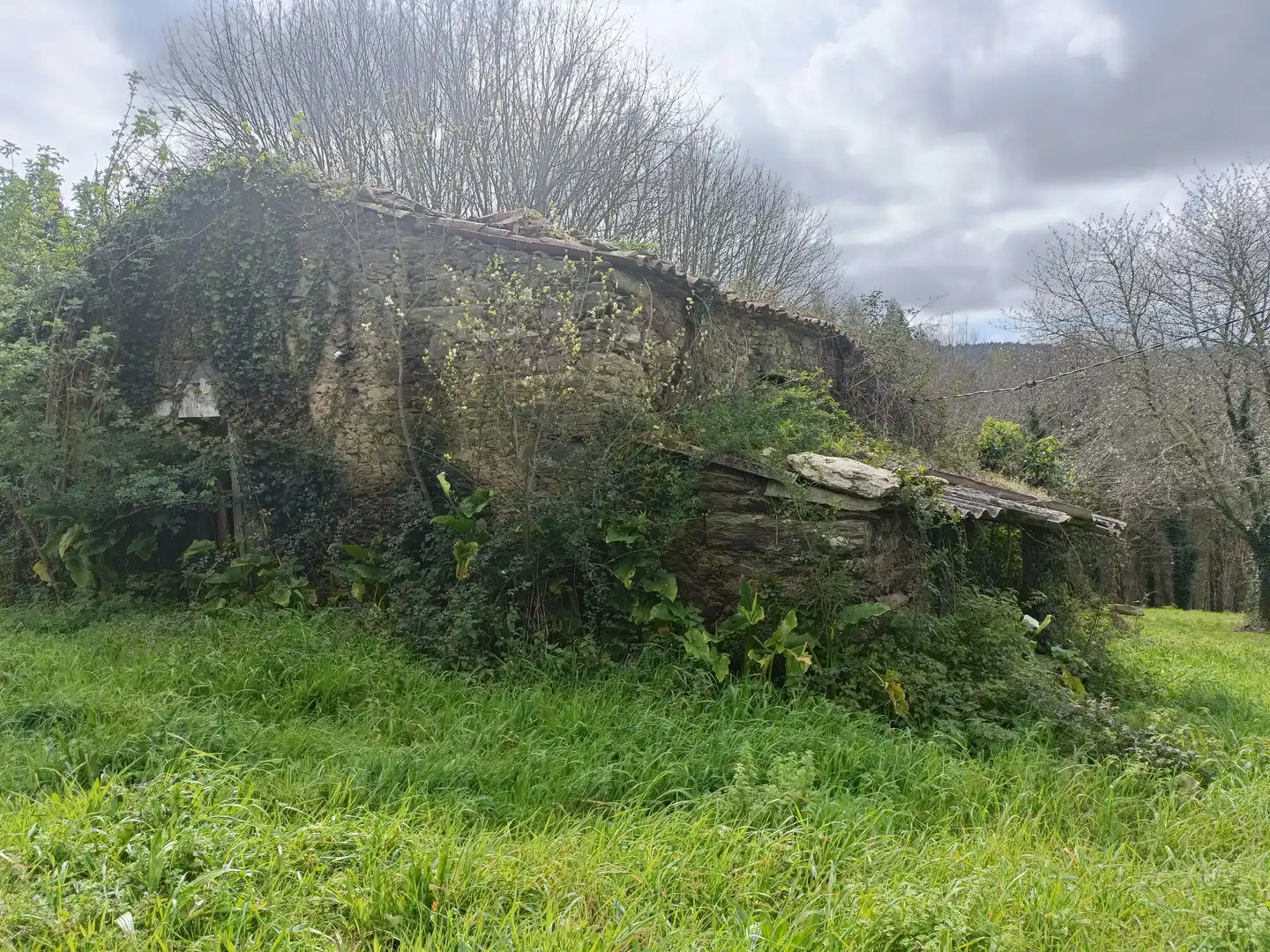 Maison avec jardin à vendre à Lugar Castelo, imagen 13