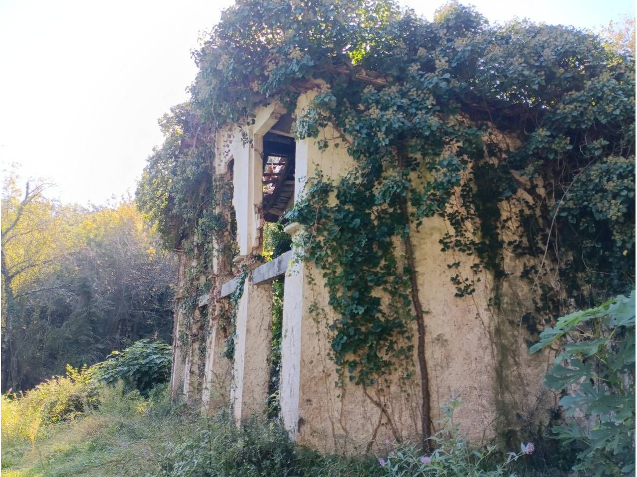 Vista exterior de Finca rústica en venda en Sant Joan Les Fonts