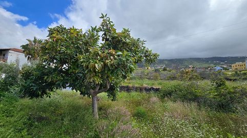 Foto 4 de Terreno en venta en Tf-322, 11a, La Perdoma - San Antonio - Benijos, La Orotava