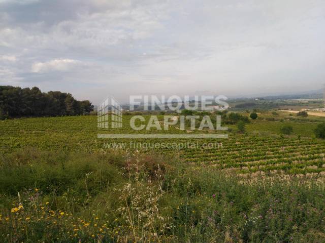 Terreno en Venta en Els Monjos